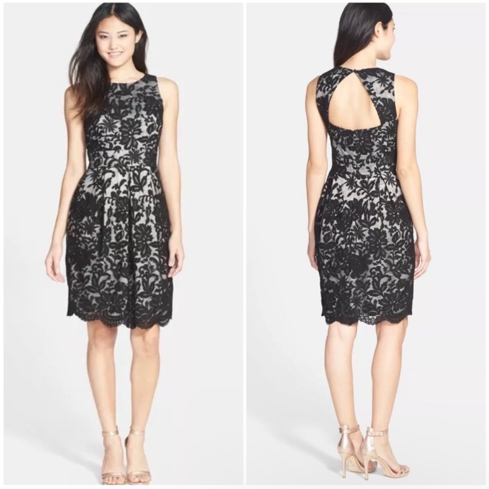 NWT Eliza J Floral Lace Tulip Dress size 8